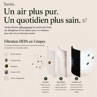 Sanéa - Purificateur d’air
