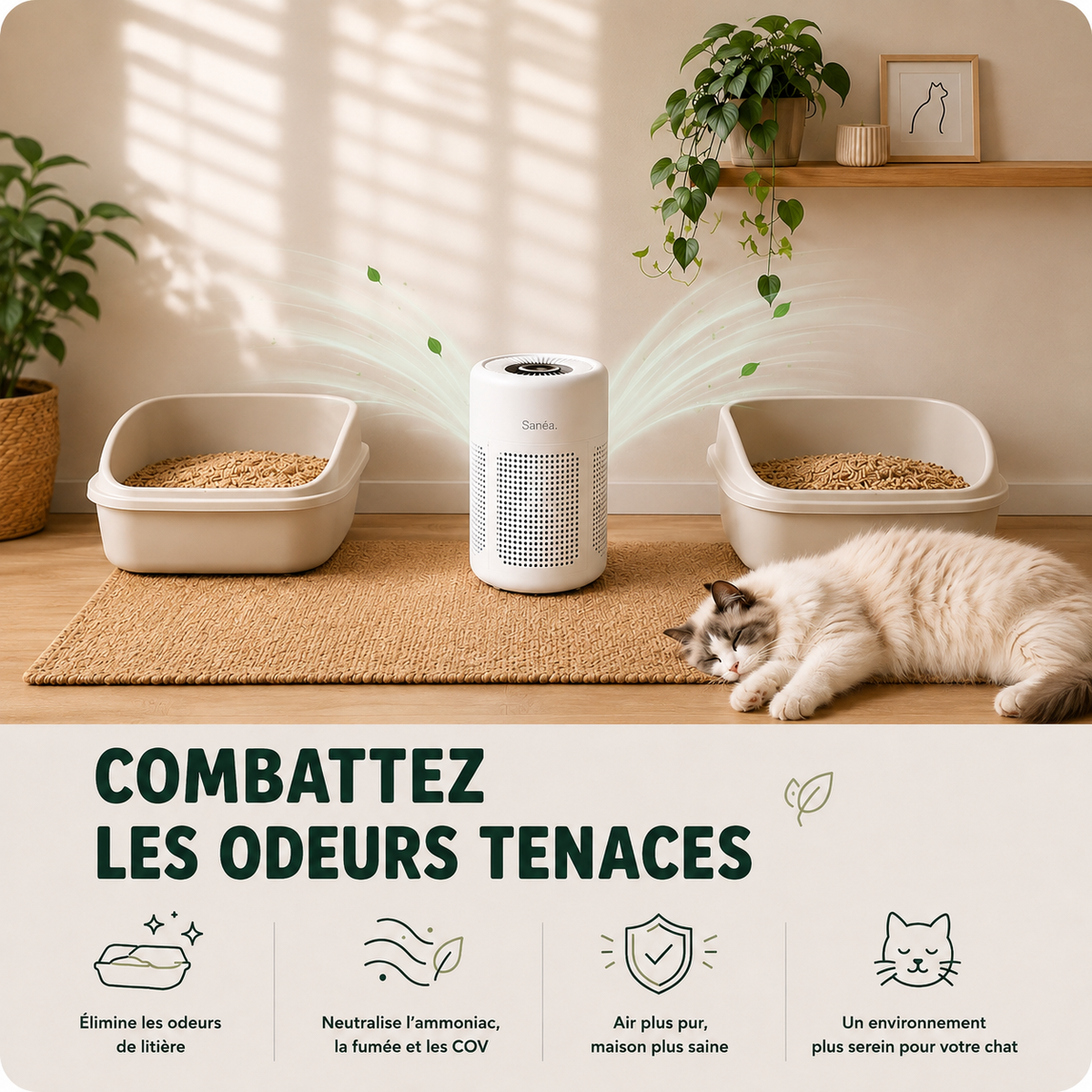 Sanéa - Purificateur d’air