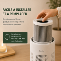 Sanéa - Filtre de remplacement